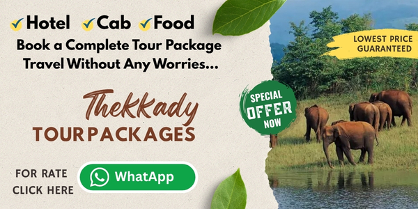 Tour Package Ad